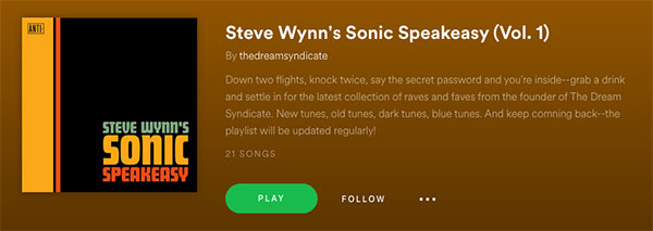 Steve Wynn's Sonic Speakeasy